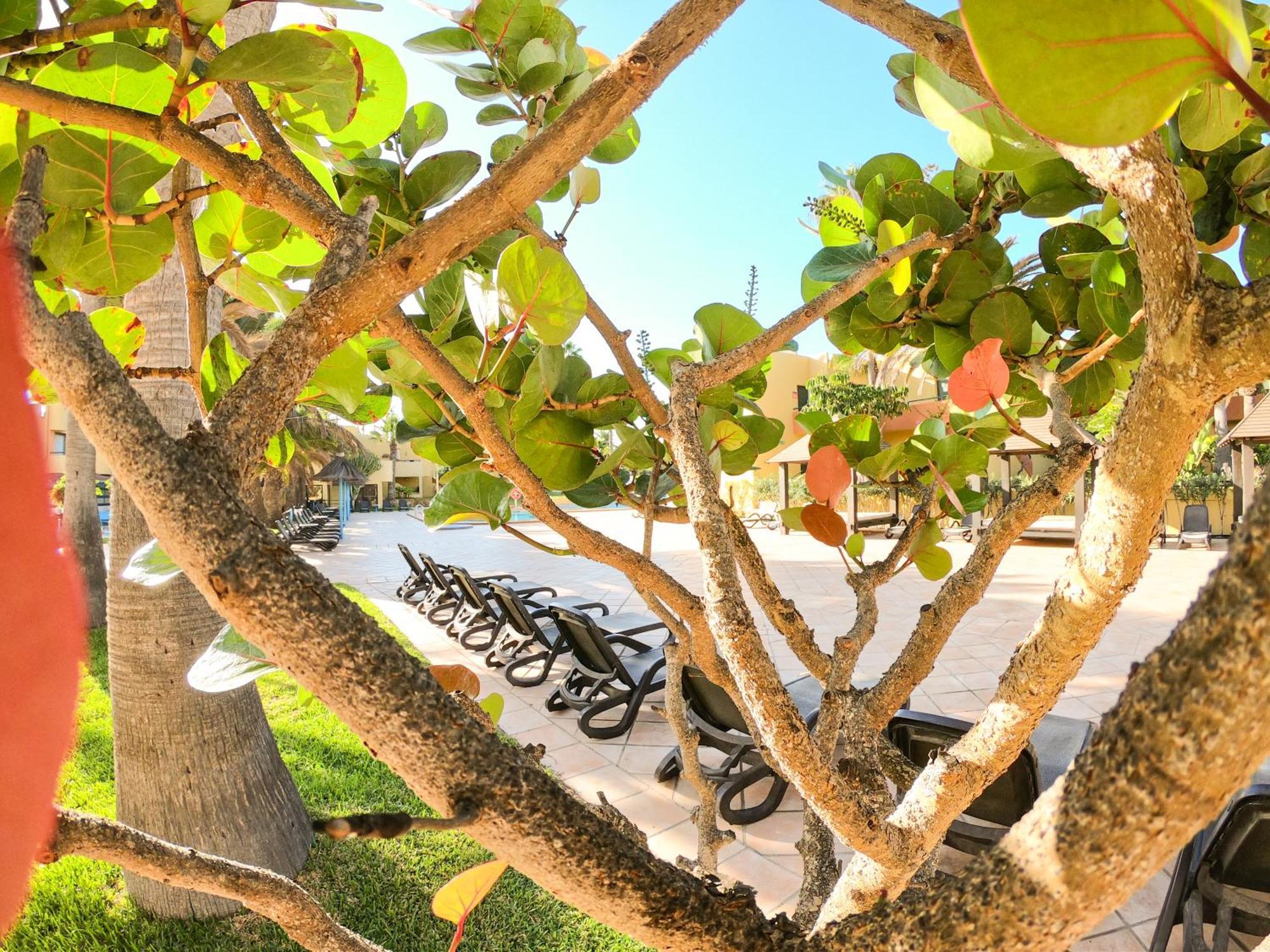 Drago 1 Atlantic Garden Apartment Corralejo Exterior photo