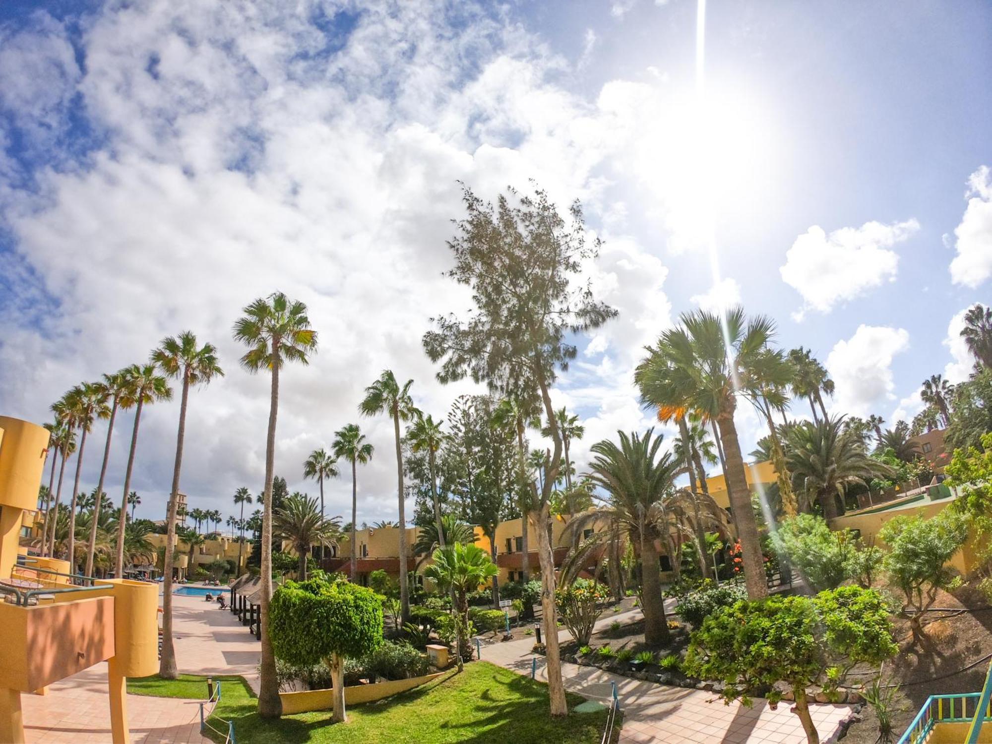 Drago 1 Atlantic Garden Apartment Corralejo Exterior photo